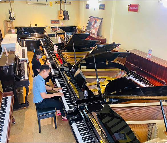 Piano Thanh Xuân Đồng Hành Cùng Bạn